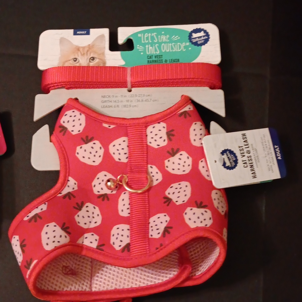 Cat Vest Harness and Leash set